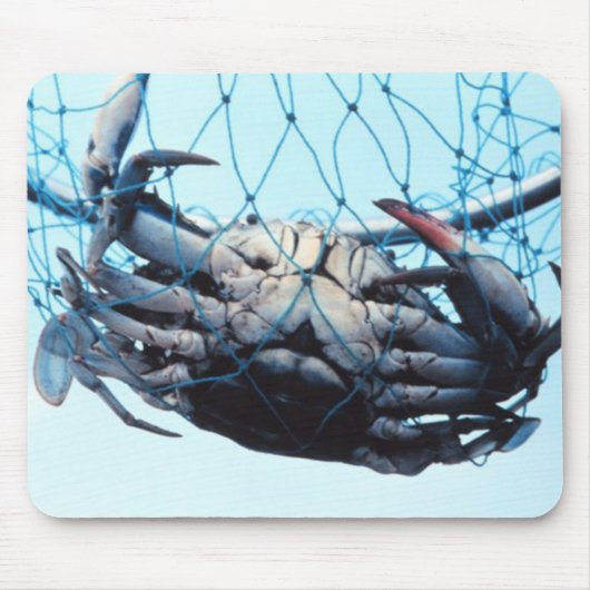 Anziehende blaue Krabbe Mousepad (Vorne)