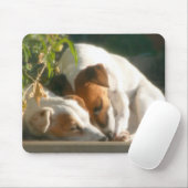 Anziehender zzzzs mousepad (Mit Mouse)