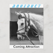 Anziehung Postkarte (Vorderseite)