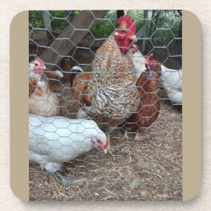 Anziehungskraft auf Hauskopfhühner Getränkeuntersetzer