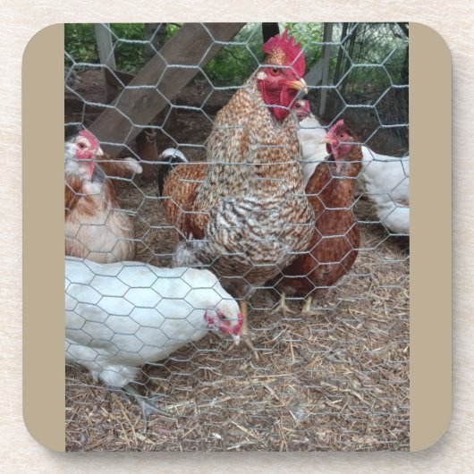 Anziehungskraft auf Hauskopfhühner Getränkeuntersetzer (Vorderseite)