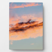 Anziehungskraft Fotoplatte (Vorderseite)