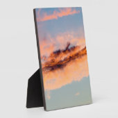 Anziehungskraft Fotoplatte (Seite)