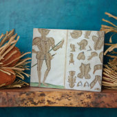 Anzug der Rüstung für Sir Henry Lee von "An Elizab Fotoplatte (Seite)