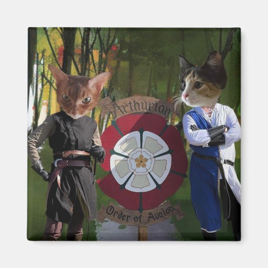 AOA-Verbindung Magnet (Vorne)