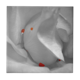 Äolisches Aquarell-dekorative Fliese