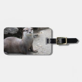 Aonyx cinerea gepäckanhänger (Vorderseite horizontal)