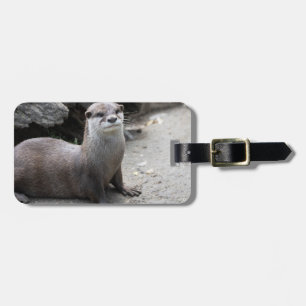 Aonyx cinerea gepäckanhänger