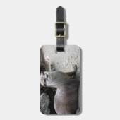 Aonyx cinerea gepäckanhänger (Vorderseite vertikal)