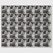 Aonyx cinerea geschenkpapier (Flach)