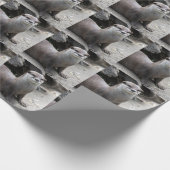 Aonyx cinerea geschenkpapier (Ecke)