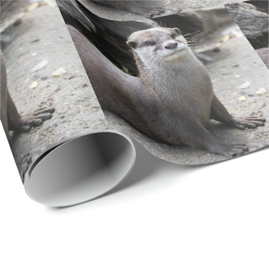 Aonyx cinerea geschenkpapier (Rolleneckpunkt)