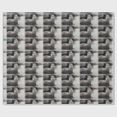 Aonyx cinerea geschenkpapier (Flach)