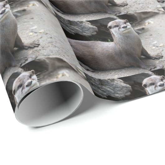 Aonyx cinerea geschenkpapier (Rolleneckpunkt)