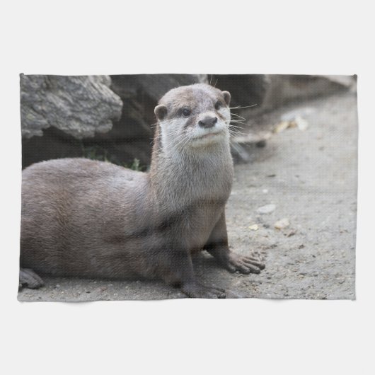 Aonyx cinerea geschirrtuch (Horizontal)