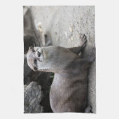 Aonyx cinerea geschirrtuch (Vertikal)