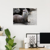 Aonyx cinerea poster (Heimbüro)
