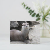 Aonyx cinerea postkarte (Stehend Vorderseite)