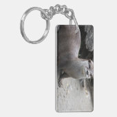 Aonyx cinerea schlüsselanhänger (Vorderseite links)