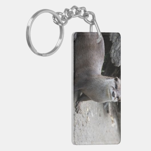 Aonyx cinerea schlüsselanhänger (Vorderseite links)