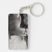 Aonyx cinerea schlüsselanhänger (Rückseite)