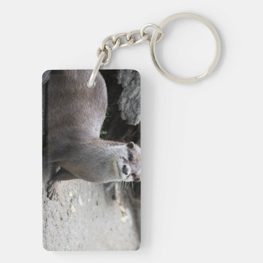 Aonyx cinerea schlüsselanhänger (Rückseite)