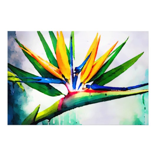 *~* AP10 Bird of Paradise Art Malerei #23 Fotodruck (Vorne)