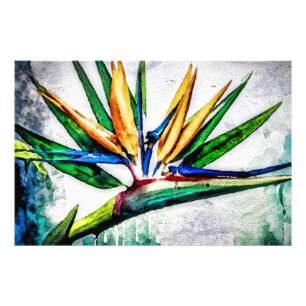 *~* AP10 Paradiesvogel Kunstmalerei #13 Fotodruck