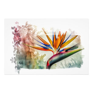 *~* AP10 Paradiesvogel Kunstmalerei #18 Fotodruck