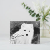 *~* AP18 Twig Fox White Snow Fox Arctic Polar Postkarte (Stehend Vorderseite)