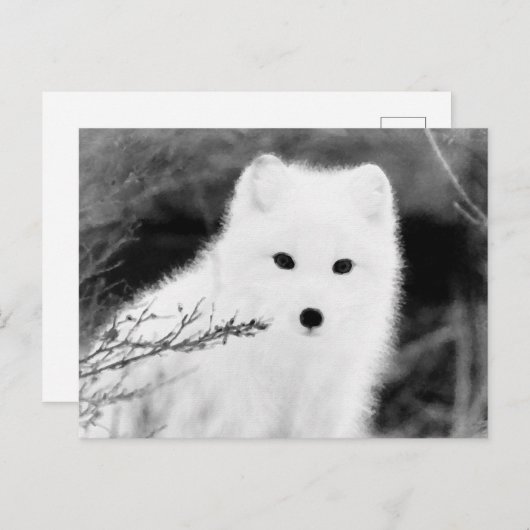 *~* AP18 Twig Fox White Snow Fox Arctic Polar Postkarte (Vorne/Hinten)