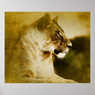*~* AP23 Künstlerische Wasserfarbe Goldene LÖWIN A Poster
