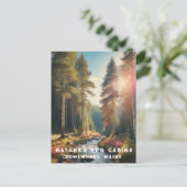 *~* AP49 Maine Forest Woods Stream Vacation Postkarte (Stehend Vorderseite)