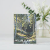 *~* AP49 Nature Maine Forest Woods Vacation Stream Postkarte (Stehend Vorderseite)