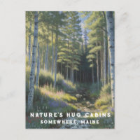 *~* AP49 Nature Maine Forest Woods Vacation Stream