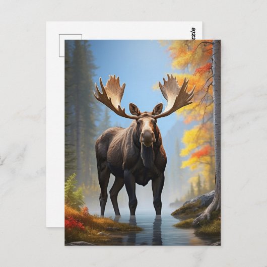 *~* AP49 starker MOOSE Stream Nature Forest Postkarte (Vorne/Hinten)