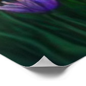 * AP56 Art Blonde Woman Wasserfall Wasserfall Teic Poster (Ecke)