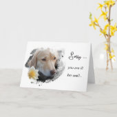 *~* AP61 Blume Sick Get Well Gold Dog Karte (Gelbe Blume)