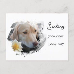 *~* AP61 Good Vibes Lab Retriever Blume Postkarte