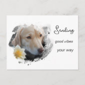 *~* AP61 Good Vibes Labrador Retriever Blume Postkarte (Vorderseite)