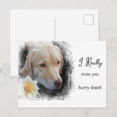 *~ AP61 Traurige Kurze Haar Hund Blume Miss You Postkarte (Vorne/Hinten)