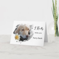 *~ AP61 Trauriger Labrador Rückreise Blume Miss Si
