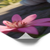 *~* AP68 2:3 Katze Feline Kitten Kitty Tropical Poster (Ecke)