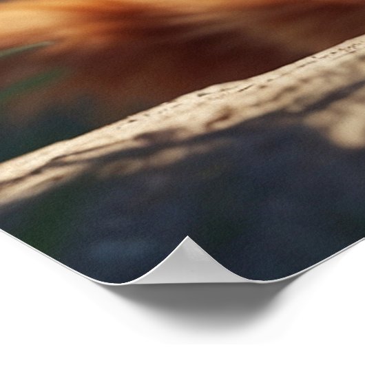 *~* AP68 5:4 Fluffy ORANGE Feline Kitty Kitten Poster (Ecke)