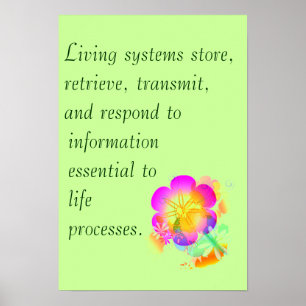 AP-Biologie-große Idee 3 Poster