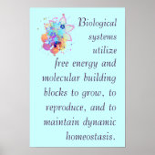 AP Biology Big Idea 2 Poster (Vorne)