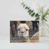 Apaca-Tasche Postkarte (Stehend Vorderseite)