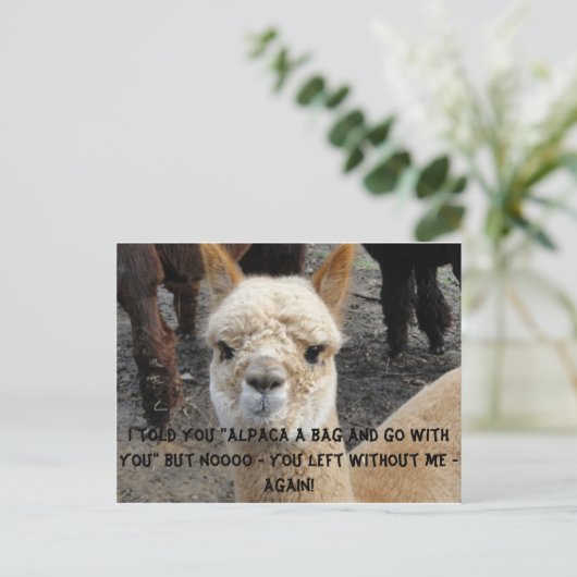 Apaca-Tasche Postkarte (Stehend Vorderseite)