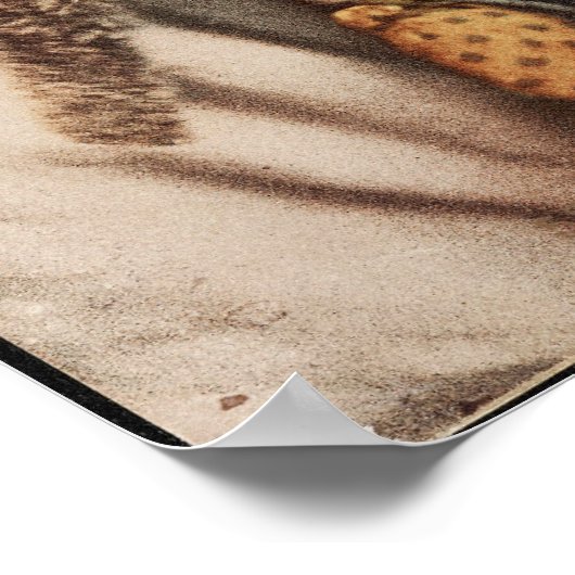 Apache Chef James A. Garfield. Poster (Ecke)