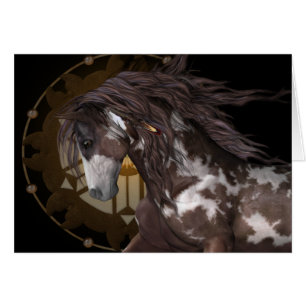 Apache .. der Hengst